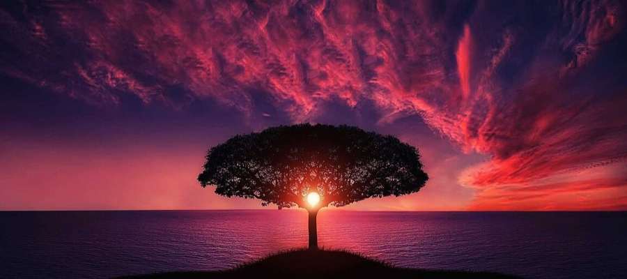 Webinar ‘La Compasión, cultiva la empatía y el altruismo como respuesta a la adversidad’